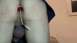 Little birch cock and ball punishment
